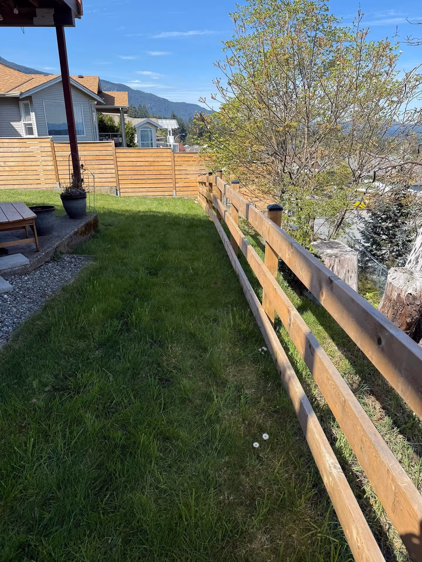 Cedar fence along a property line in Nanaimo