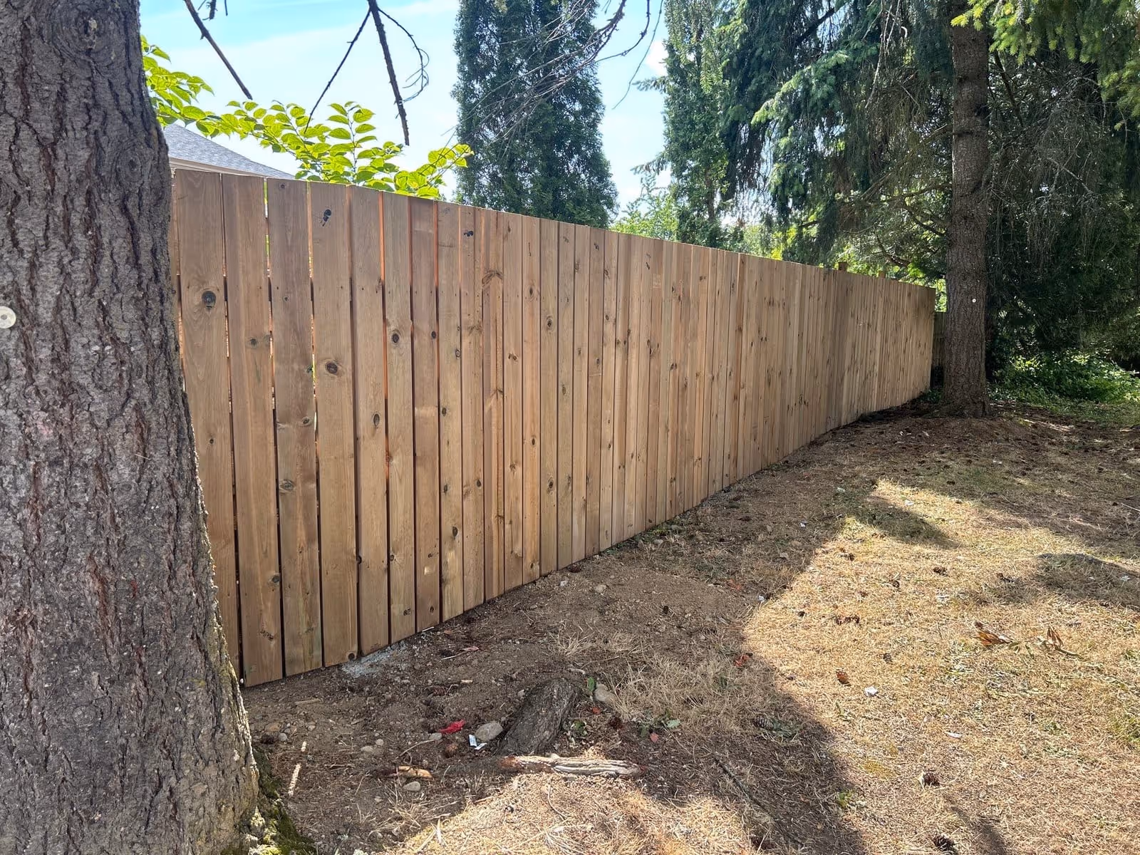 Cedar wood privacy fence in Nanaimo, BC