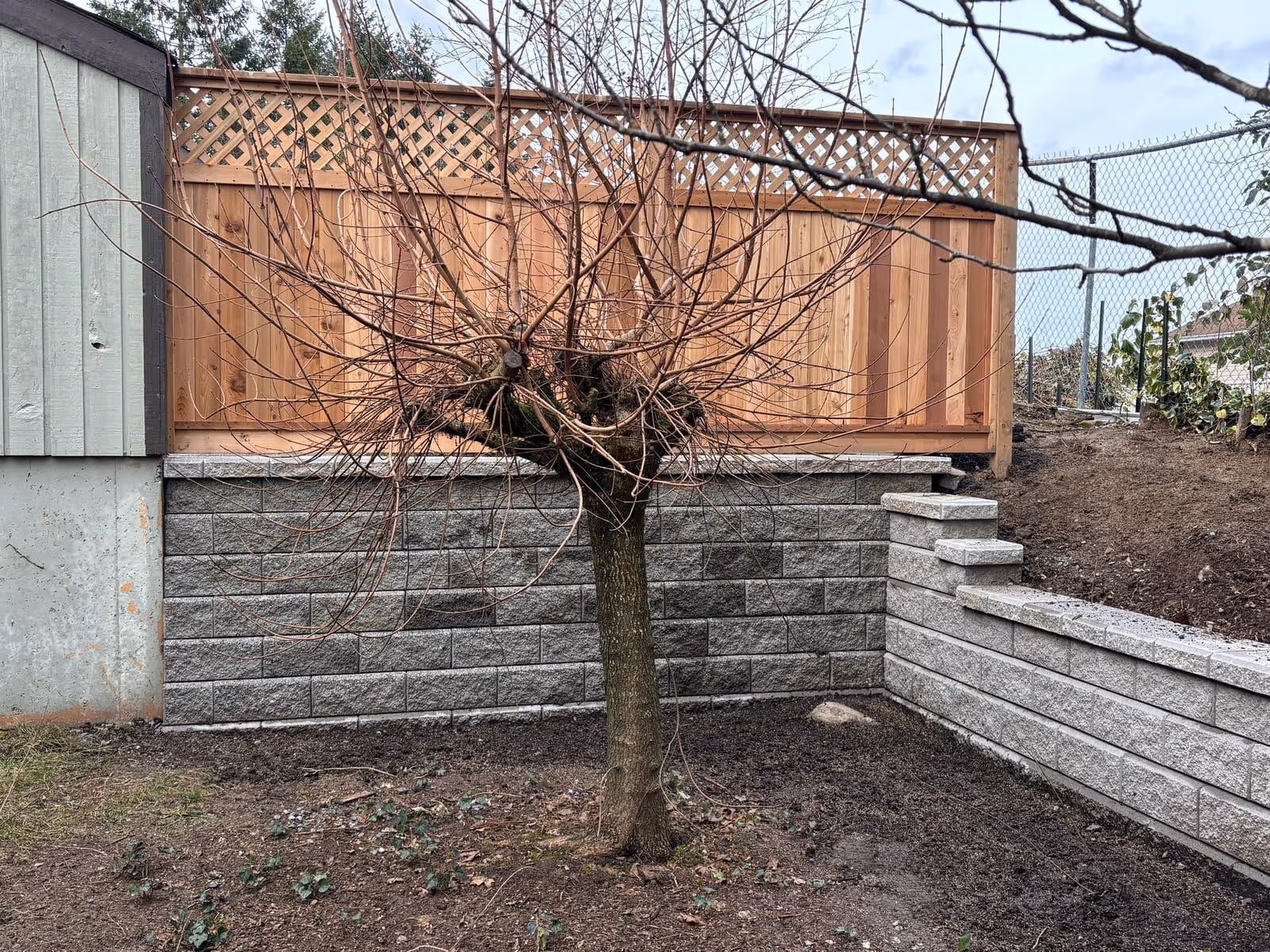 Block retaining wall with a cedar fence and tree