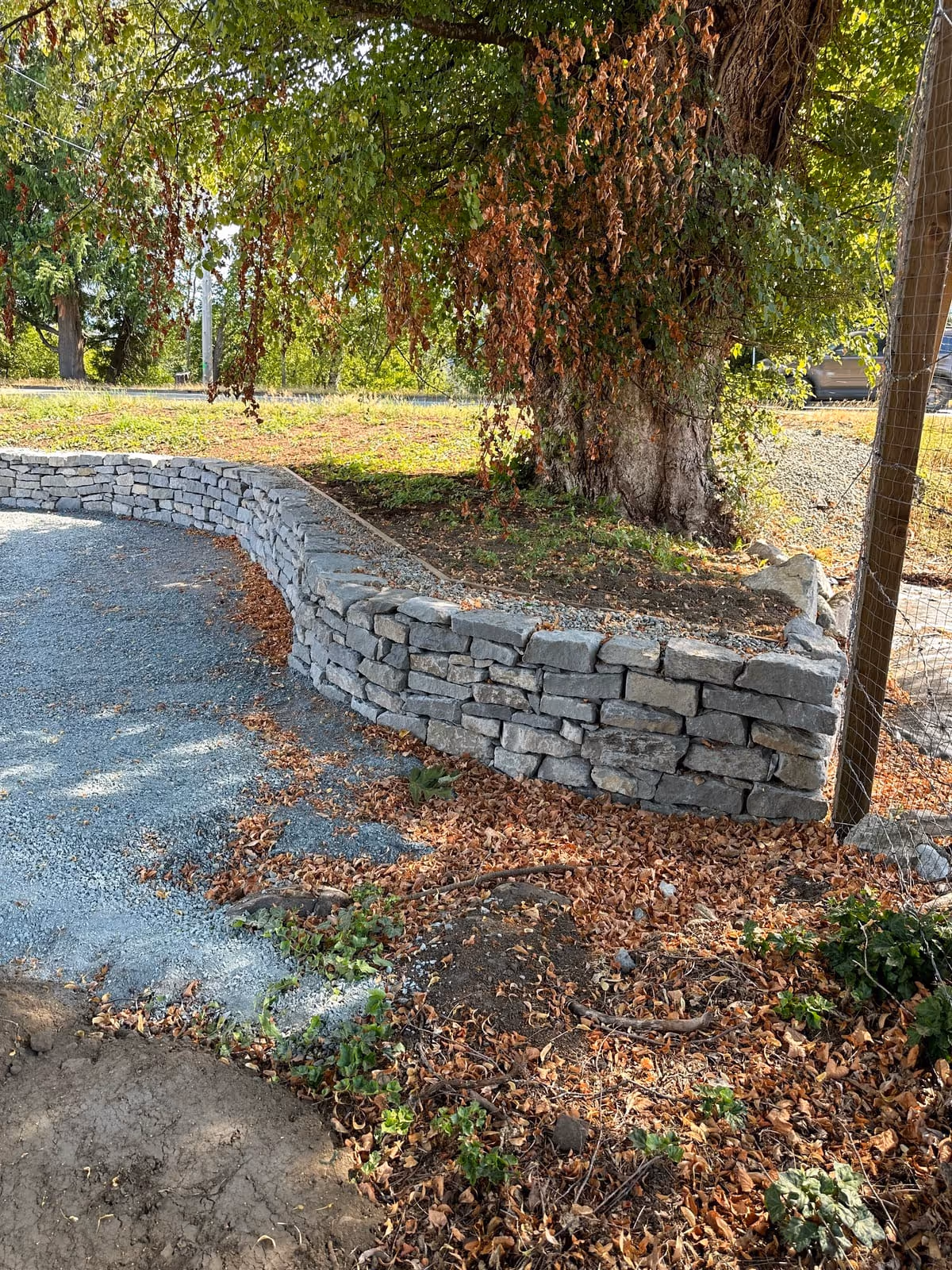 Stacked natural stone retaining wall around a tree